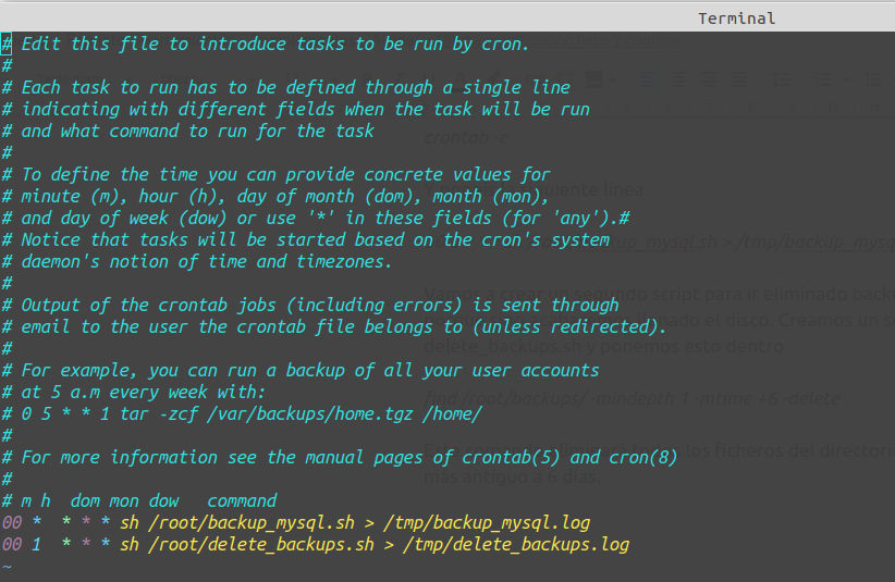 Programando crons para realizar backups del MySql